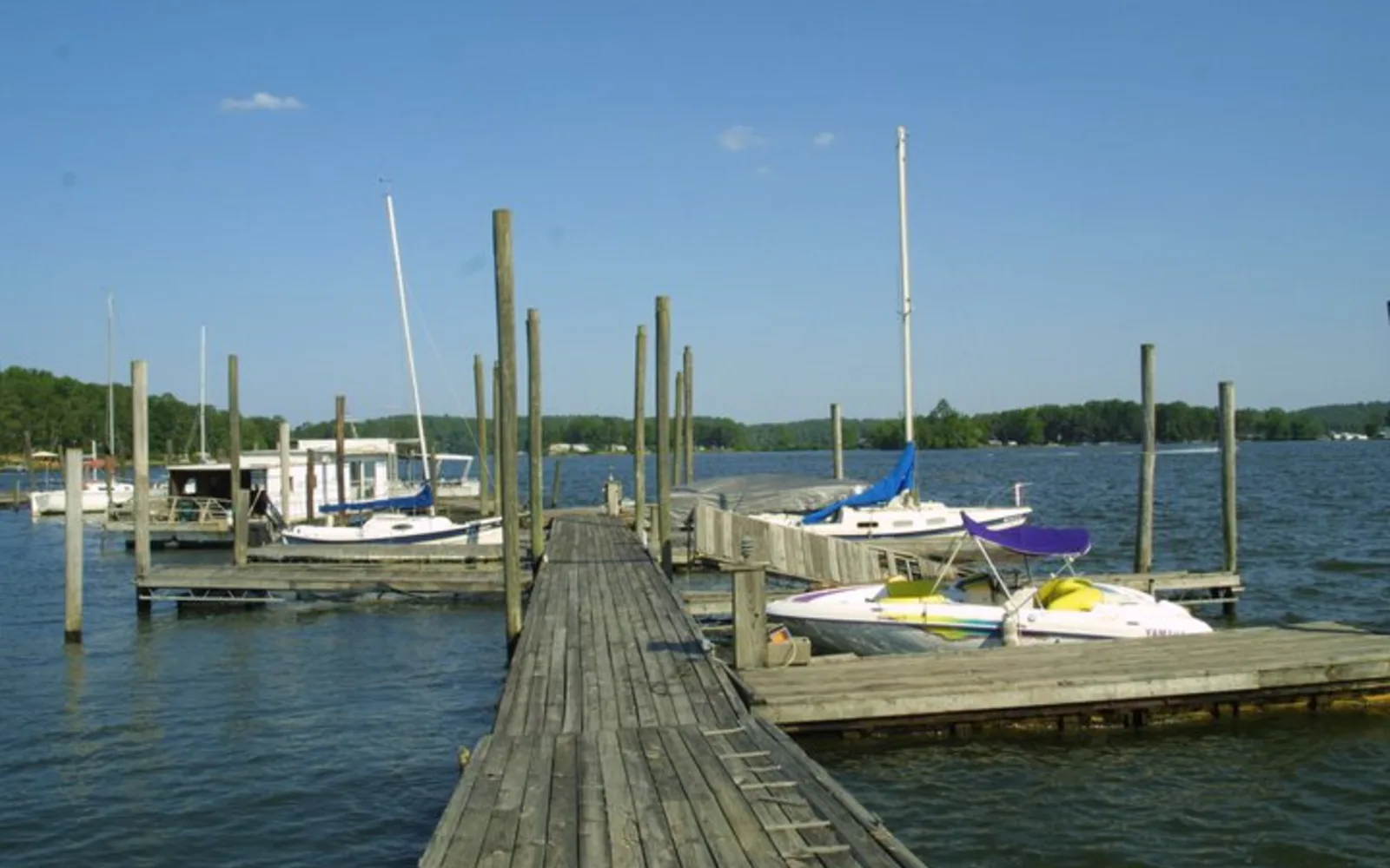 Sailboats moored in a calm harbor